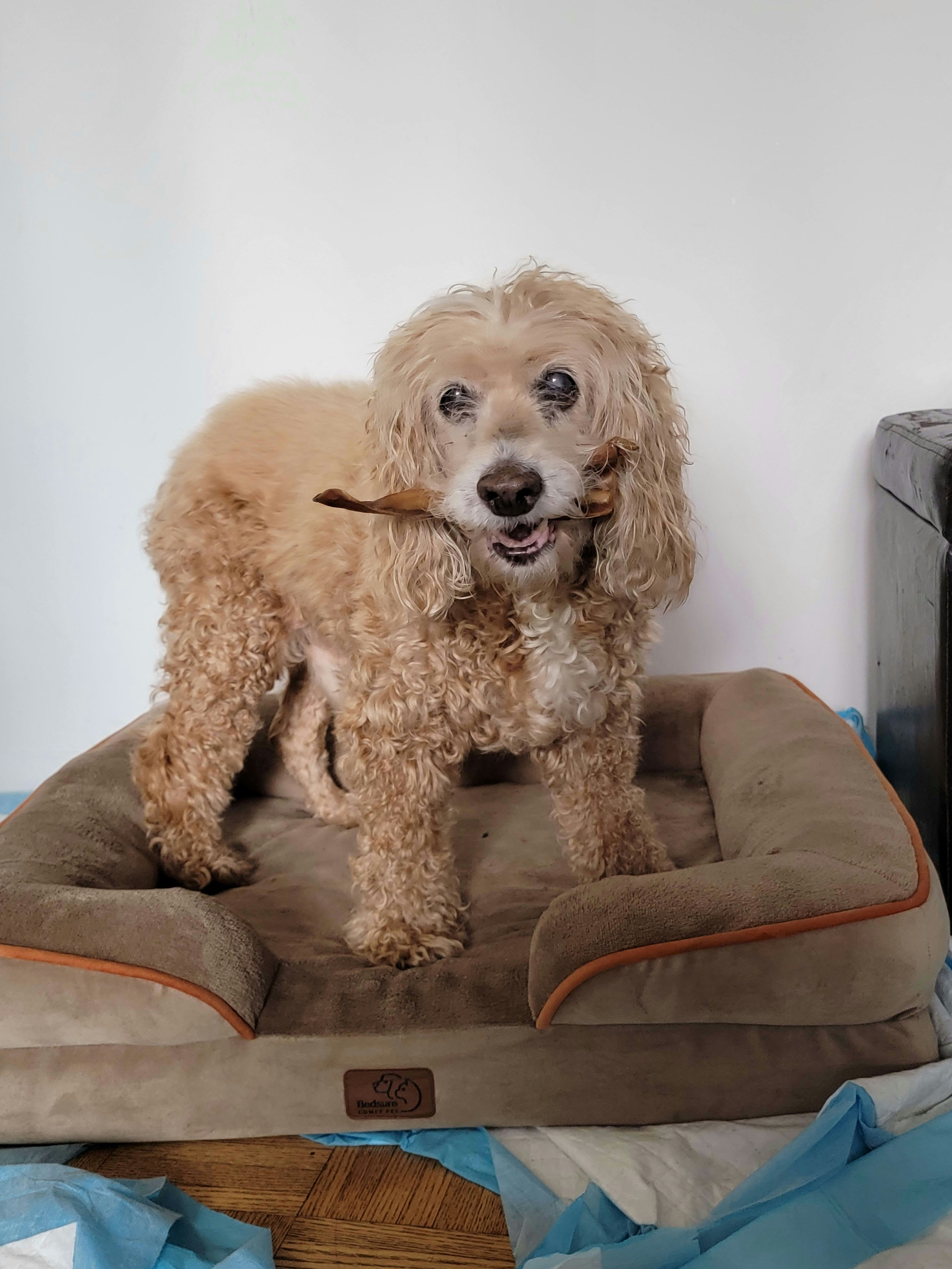 mrmakeithappenbaseeth