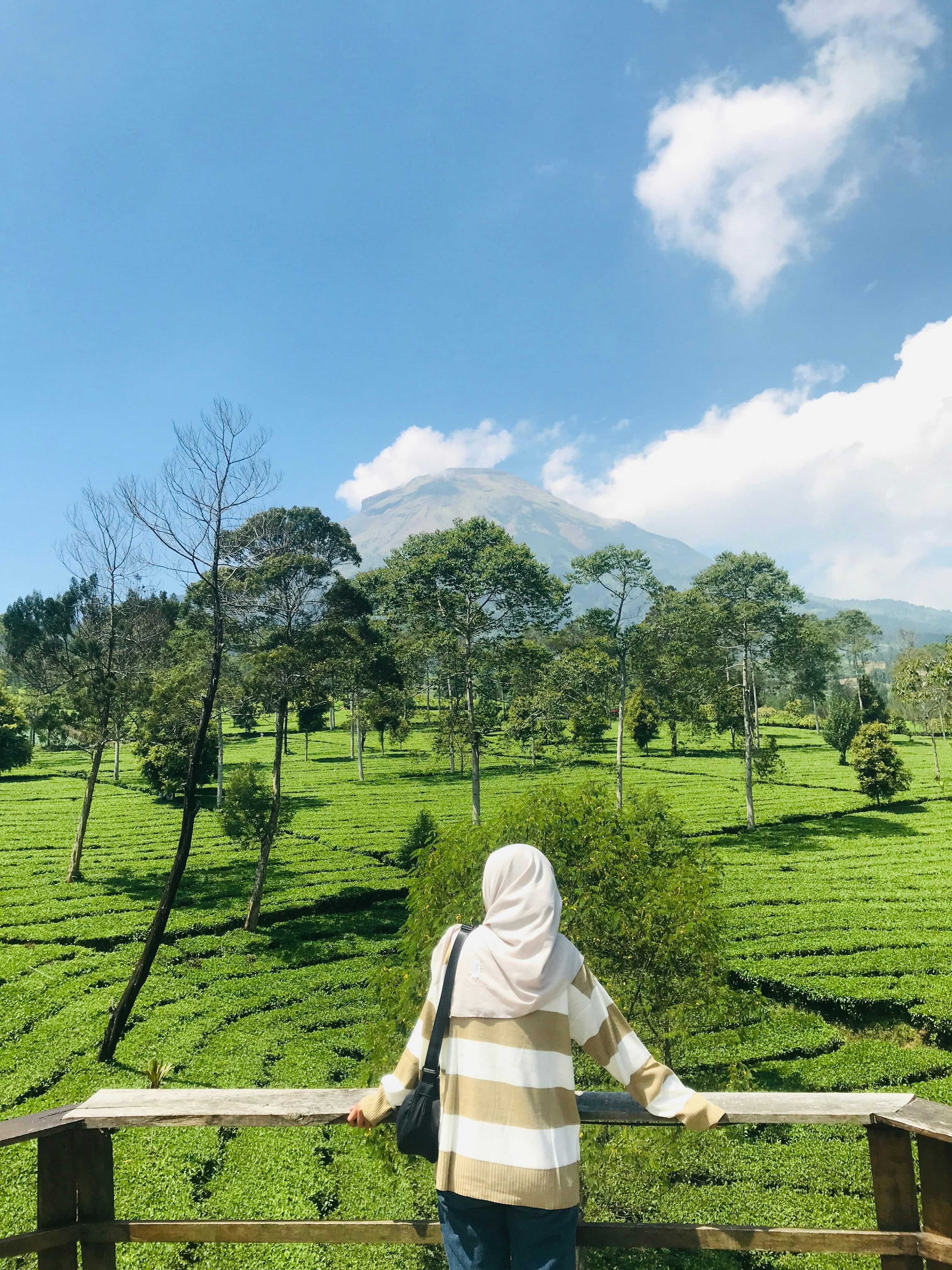 tianbleach474baseeth