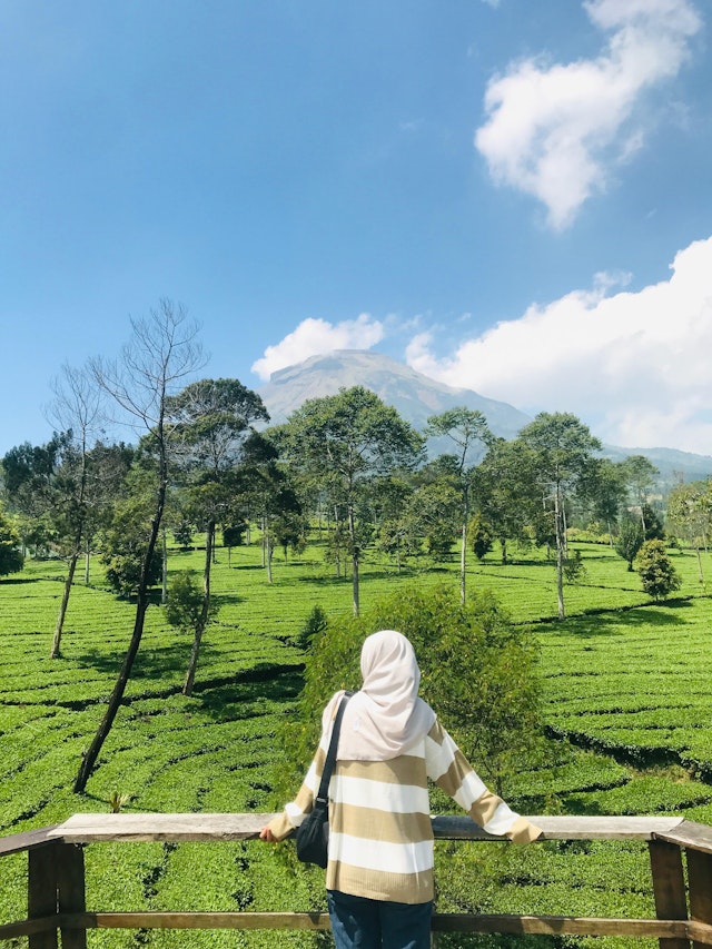 tianbleach474baseeth